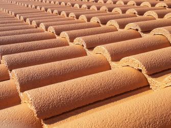 Cordier Christophe Peinture sur tuiles ciment teinte tuile